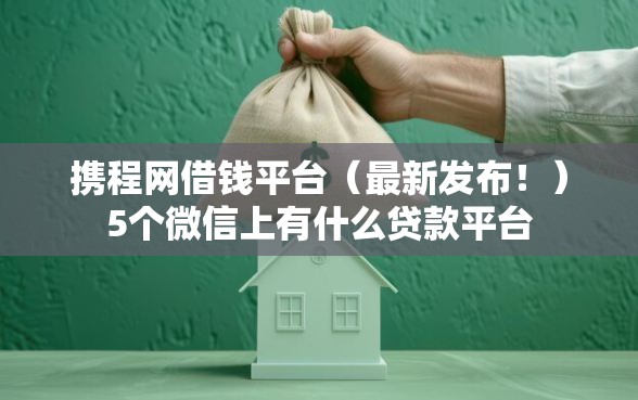 携程网借钱平台（最新发布！）5个微信上有什么贷款平台