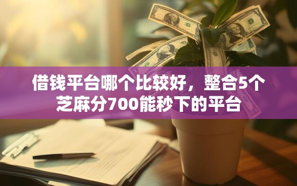 借钱平台哪个比较好，整合5个芝麻分700能秒下的平台