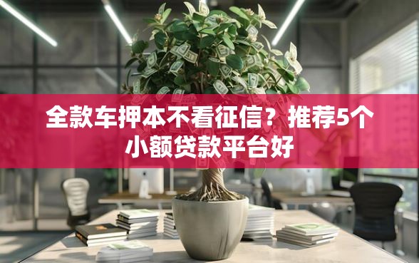 全款车押本不看征信？推荐5个小额贷款平台好