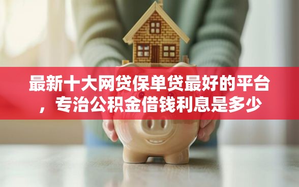 最新十大网贷保单贷最好的平台，专治公积金借钱利息是多少