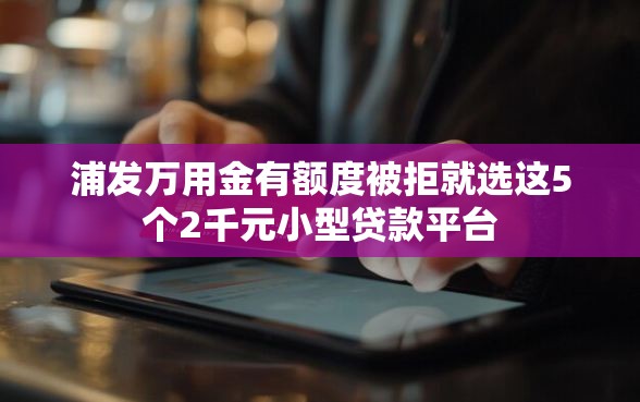 浦发万用金有额度被拒就选这5个2千元小型贷款平台