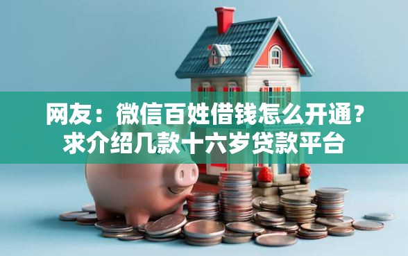 网友：微信百姓借钱怎么开通？求介绍几款十六岁贷款平台