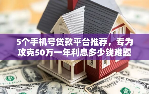 5个手机号贷款平台推荐，专为攻克50万一年利息多少钱难题