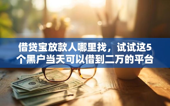 借贷宝放款人哪里找，试试这5个黑户当天可以借到二万的平台