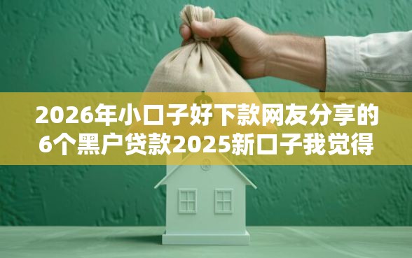 2026年小口子好下款网友分享的6个黑户贷款2025新口子我觉得不错！