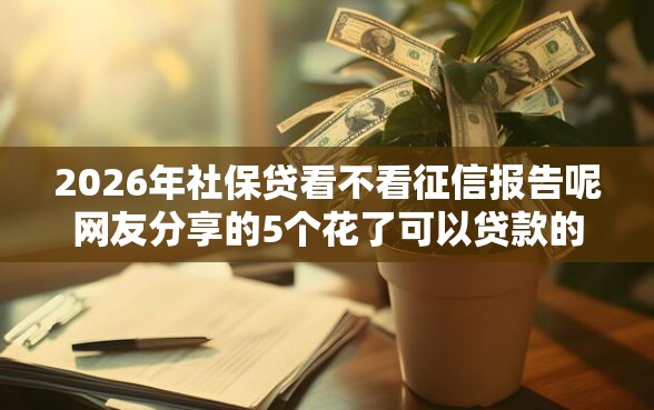 2026年社保贷看不看征信报告呢网友分享的5个花了可以贷款的平台我觉得不错！