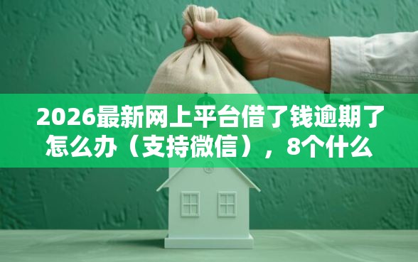 2026最新网上平台借了钱逾期了怎么办（支持微信），8个什么口子黑户可以下款无私分享