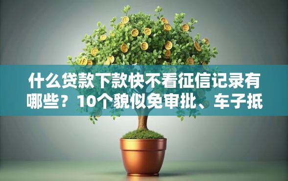 什么贷款下款快不看征信记录有哪些？10个貌似免审批、车子抵押贷款平台合集