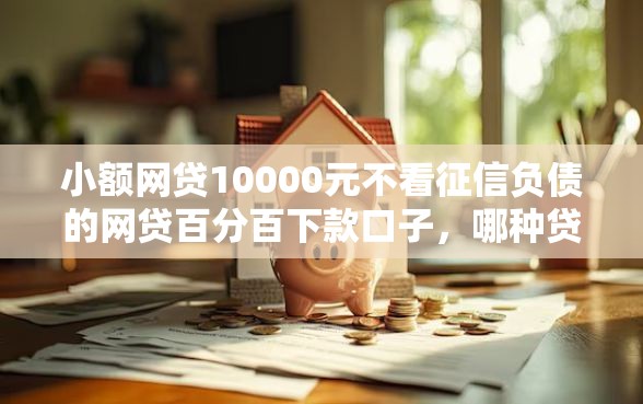 小额网贷10000元不看征信负债的网贷百分百下款口子，哪种贷款最容易批下来2025年的7个平台介绍