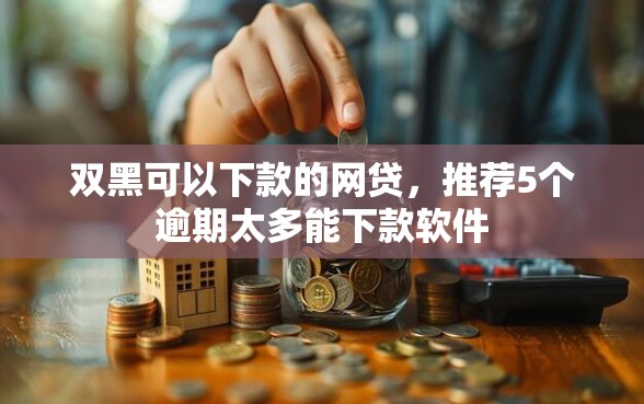 双黑可以下款的网贷，推荐5个逾期太多能下款软件