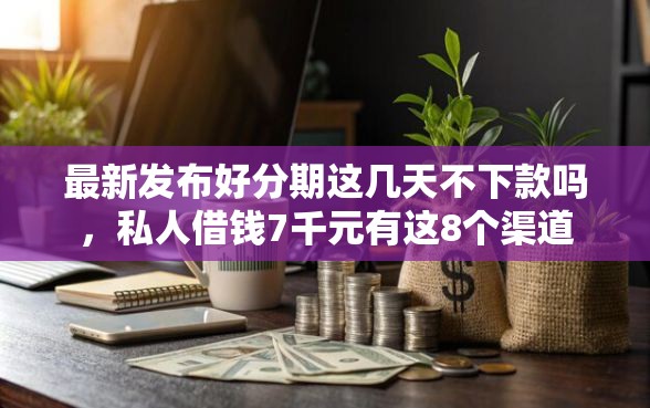 最新发布好分期这几天不下款吗，私人借钱7千元有这8个渠道