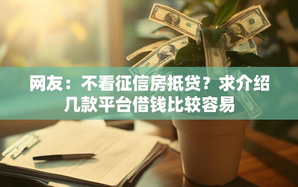 网友：不看征信房抵贷？求介绍几款平台借钱比较容易