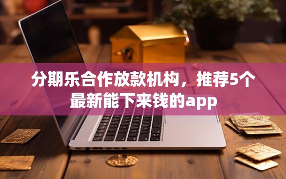 分期乐合作放款机构，推荐5个最新能下来钱的app