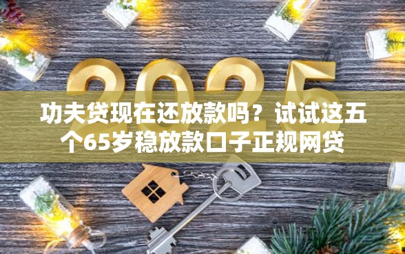 功夫贷现在还放款吗？试试这五个65岁稳放款口子正规网贷