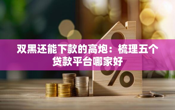 双黑还能下款的高炮：梳理五个贷款平台哪家好