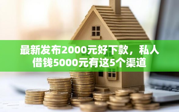 最新发布2000元好下款，私人借钱5000元有这5个渠道