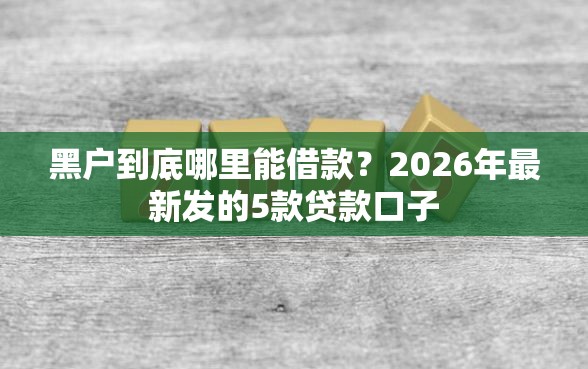 黑户到底哪里能借款?2026年最新发的5款贷款口子 黑户到底哪里能借款?2026年最新发的5款贷款口子