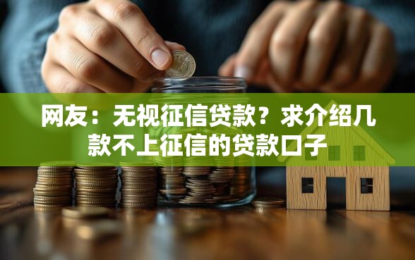 网友：无视征信贷款？求介绍几款不上征信的贷款口子