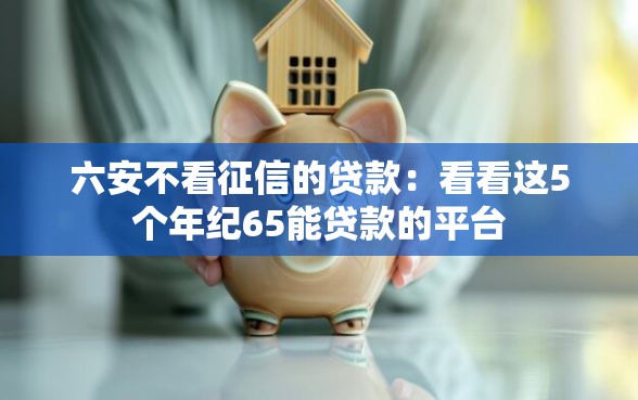 六安不看征信的贷款：看看这5个年纪65能贷款的平台