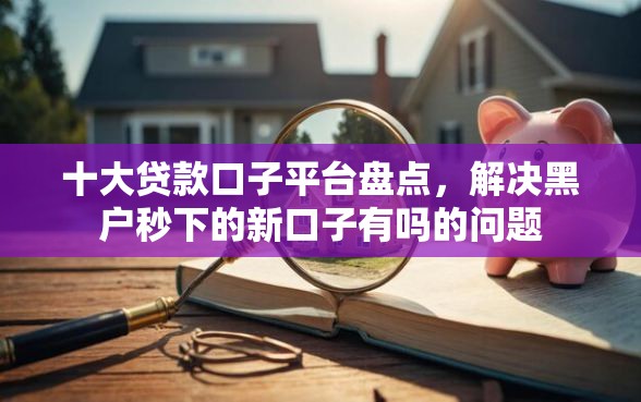 十大贷款口子平台盘点，解决黑户秒下的新口子有吗的问题