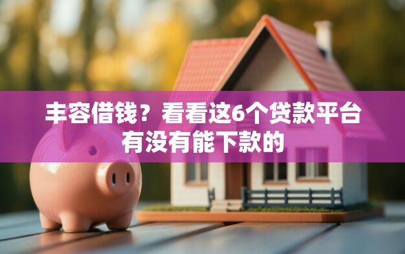 丰容借钱？看看这6个贷款平台有没有能下款的