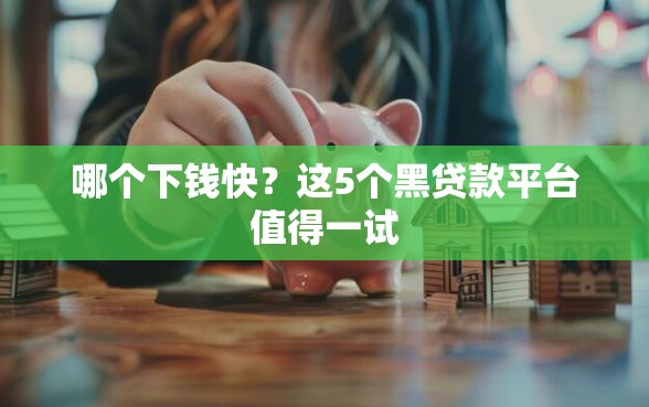 哪个下钱快？这5个黑贷款平台值得一试