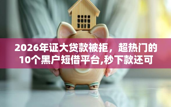 2026年证大贷款被拒，超热门的10个黑户短借平台,秒下款还可靠推荐