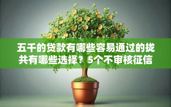 五千的贷款有哪些容易通过的拢共有哪些选择？5个不审核征信的贷款平台详解