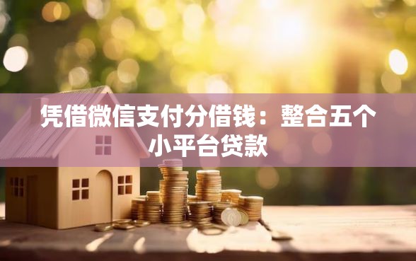 凭借微信支付分借钱：整合五个小平台贷款