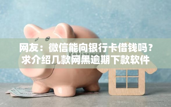 网友：微信能向银行卡借钱吗？求介绍几款网黑逾期下款软件