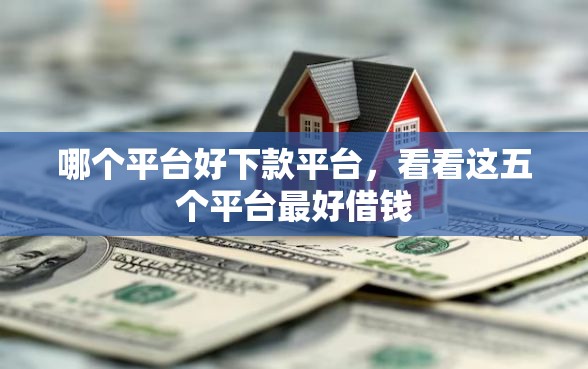 哪个平台好下款平台，看看这五个平台最好借钱