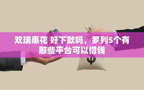 双瑞惠花 好下款吗，罗列5个有那些平台可以借钱