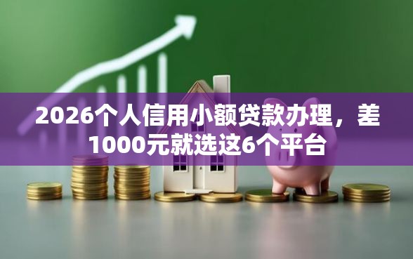 2026个人信用小额贷款办理，差1000元就选这6个平台