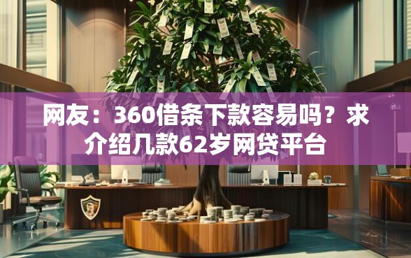 网友：360借条下款容易吗？求介绍几款62岁网贷平台