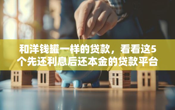 和洋钱罐一样的贷款，看看这5个先还利息后还本金的贷款平台