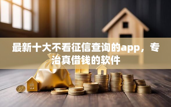 最新十大不看征信查询的app，专治真借钱的软件