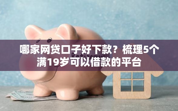 哪家网贷口子好下款？梳理5个满19岁可以借款的平台