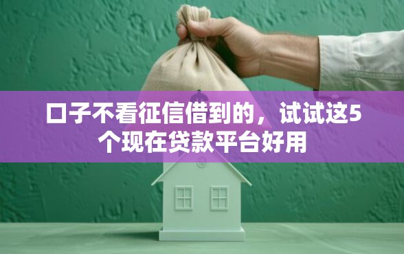 口子不看征信借到的，试试这5个现在贷款平台好用
