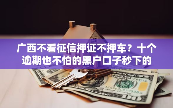 广西不看征信押证不押车？十个逾期也不怕的黑户口子秒下的