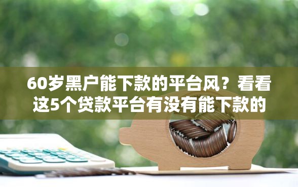 60岁黑户能下款的平台风？看看这5个贷款平台有没有能下款的
