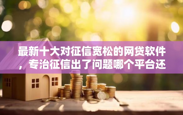最新十大对征信宽松的网贷软件，专治征信出了问题哪个平台还能贷款呢