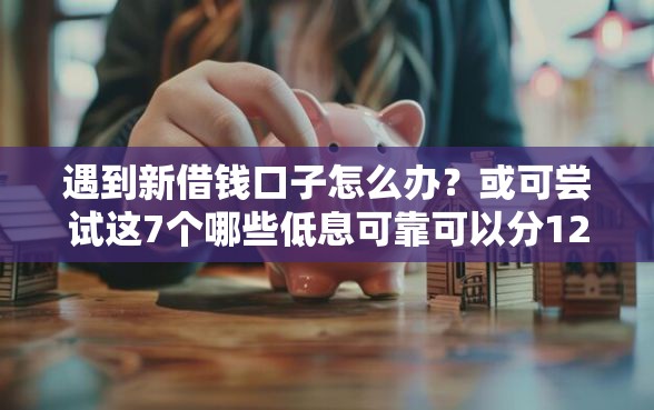 遇到新借钱口子怎么办？或可尝试这7个哪些低息可靠可以分12期以上的借款平台