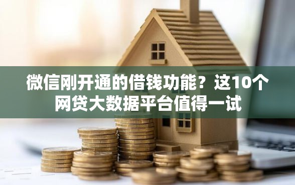 微信刚开通的借钱功能？这10个网贷大数据平台值得一试