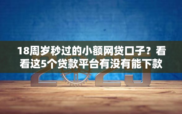 18周岁秒过的小额网贷口子？看看这5个贷款平台有没有能下款的