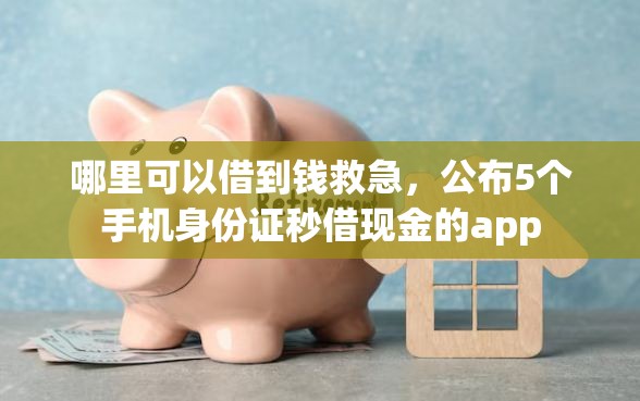 哪里可以借到钱救急，公布5个手机身份证秒借现金的app