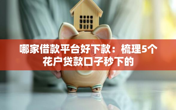 哪家借款平台好下款：梳理5个花户贷款口子秒下的
