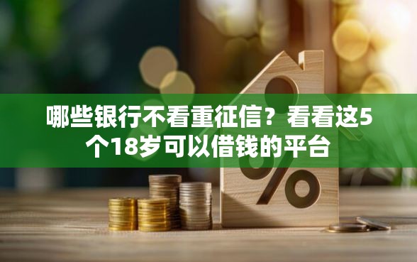 哪些银行不看重征信？看看这5个18岁可以借钱的平台