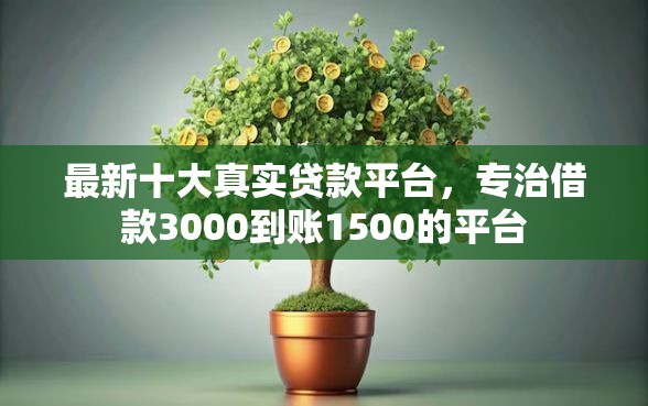 最新十大真实贷款平台，专治借款3000到账1500的平台