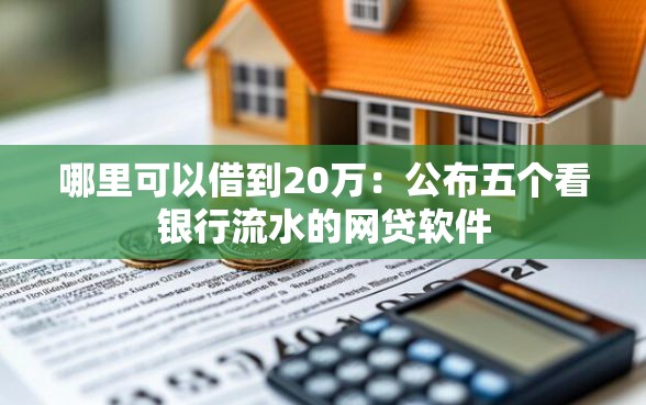 哪里可以借到20万：公布五个看银行流水的网贷软件