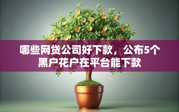 哪些网贷公司好下款，公布5个黑户花户在平台能下款
